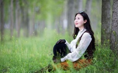 玛雅论坛发信到